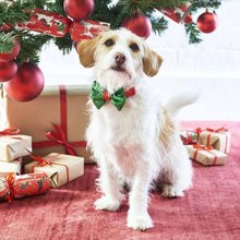 Load image into Gallery viewer, Christmas Entertainment Dog Bow Tie