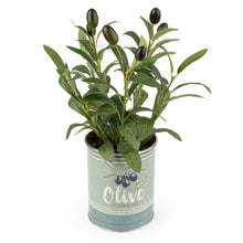 Load image into Gallery viewer, Faux Olive Plant in Tin Pot 6pk