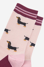 Load image into Gallery viewer, Women's Bamboo Socks - Cream/Berry, Sausage Dog Stripes: UK 3-7 | EU 36-40 | US 5-9