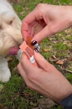 Load image into Gallery viewer, Scampi Fries Dog Snack · Scampi & Pea Dog Snack Sticks