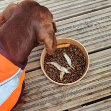 Load image into Gallery viewer, Fish & Chips Dog Dinner Bowl