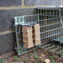 Load image into Gallery viewer, The Big Cheese Poison-Free, Ready-Baited Rat Cage Trap