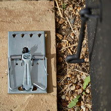 Load image into Gallery viewer, The Big Cheese Ultra Power All-Metal Selfset Rat Trap (single)