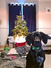 Load image into Gallery viewer, Christmas Entertainment Dog Bow Tie