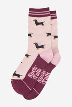 Load image into Gallery viewer, Women's Bamboo Socks - Cream/Berry, Sausage Dog Stripes: UK 3-7 | EU 36-40 | US 5-9