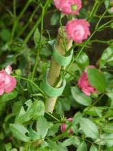 Load image into Gallery viewer, Velcro One-Wrap Garden Ties 12 Pre-Cut 15cm x 1.2cm