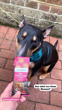 Load image into Gallery viewer, Paw Scratchies Dog Snack · Pulled Pork Flavour Dog Bites
