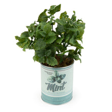 Load image into Gallery viewer, Faux Mint Plant in Tin Pot 6pk

