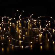 Load image into Gallery viewer, Noma 50 Fit &amp; Forget Warm White LED Battery Operated String Lights
