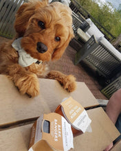 Load image into Gallery viewer, Bark Bangers Treat Pot · Mini Chicken Sausage Dog Treats
