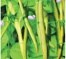 Load image into Gallery viewer, Apollo PEA &amp; BEAN NET 4X2M
