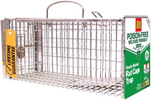Load image into Gallery viewer, The Big Cheese Poison-Free, Ready-Baited Rat Cage Trap
