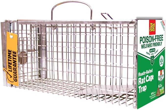 The Big Cheese Poison-Free, Ready-Baited Rat Cage Trap