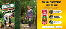 Load image into Gallery viewer, Roundup Ready to Use Total weedkiller  Pump &#39;N Go Pressure Sprayer
