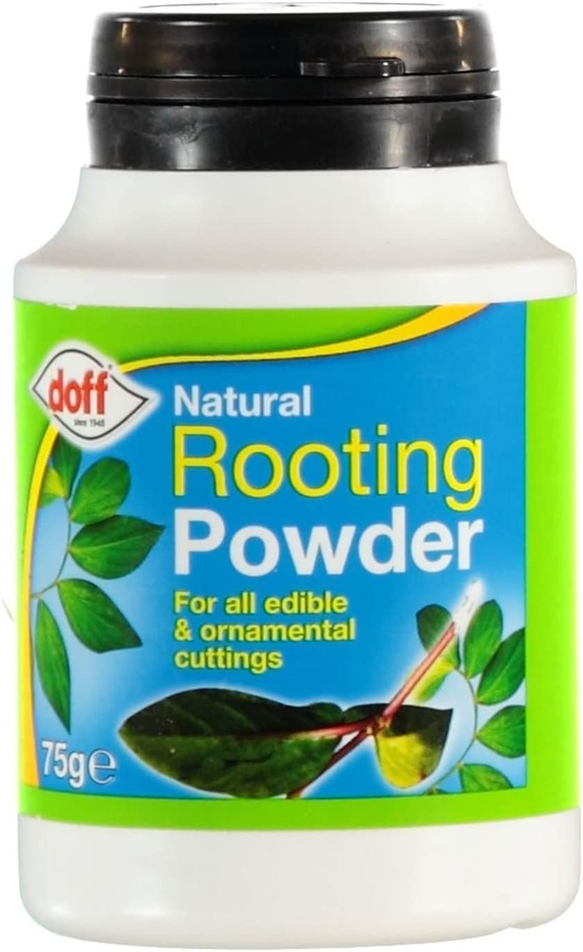 Doff Natural Rooting Powder 75g