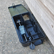 Load image into Gallery viewer, The Big Cheese  all-weather block bait 6x10g
