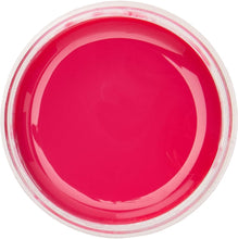 Load image into Gallery viewer, Plasti-Kote Fast Dry Project Enamel 59ML, Hot Pink
