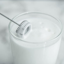 Load image into Gallery viewer, Salter Double Coil Whisk Milk Frother
