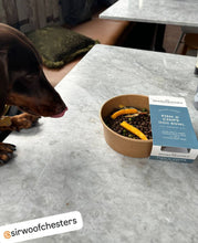 Load image into Gallery viewer, Fish &amp; Chips Dog Dinner Bowl
