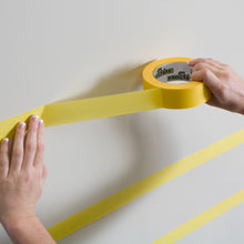 Load image into Gallery viewer, Frogtape Delicate Surface Low Tack Painters Masking Tape 24mm x 41.1m
