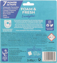 Load image into Gallery viewer, Astonish Foam &amp; Fresh Toilet Blocks - 2 Pack
