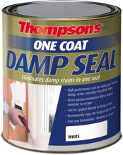 Load image into Gallery viewer, Thompson's One Coat Damp Seal 250ml
