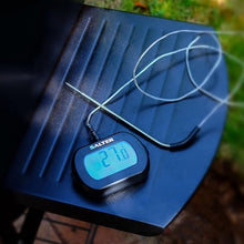 Load image into Gallery viewer, Salter Leaver-In Thermometer
