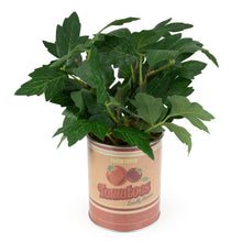 Load image into Gallery viewer, Faux Tomato Plant in Tin Pot 6pk
