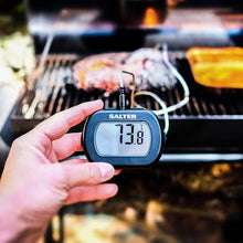 Load image into Gallery viewer, Salter Leaver-In Thermometer
