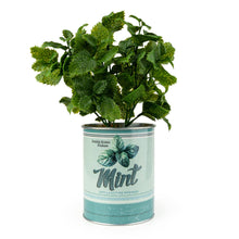 Load image into Gallery viewer, Faux Mint Plant in Tin Pot 6pk
