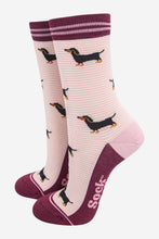 Load image into Gallery viewer, Women's Bamboo Socks - Cream/Berry, Sausage Dog Stripes: UK 3-7 | EU 36-40 | US 5-9

