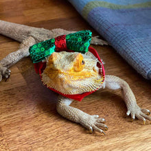 Load image into Gallery viewer, Christmas Entertainment Dog Bow Tie
