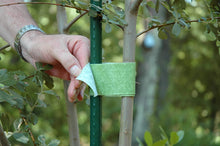 Load image into Gallery viewer, Velcro One-Wrap Garden Ties 10 x Tree Ties (50cm)
